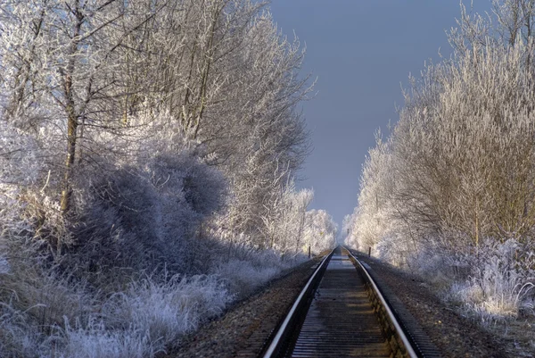 Winter Track — Stock Photo, Image