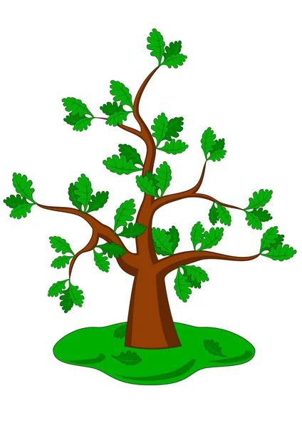 Árvore de carvalho — Vetor de Stock