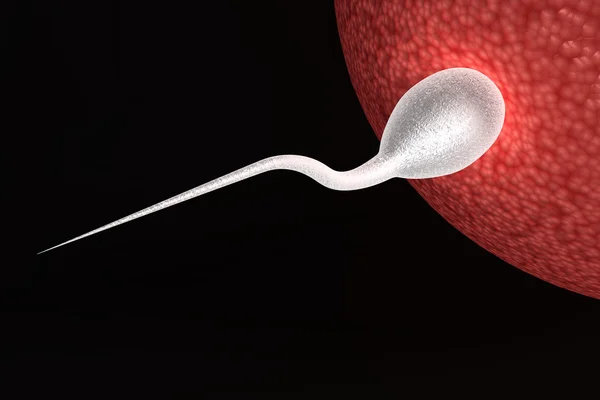 Lidské spermie — Stock fotografie