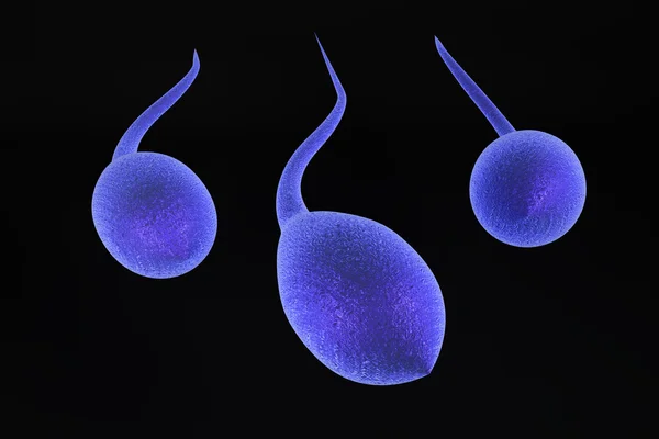 stock image 3d sperm