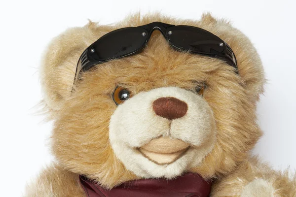 stock image Cool Teddy bear