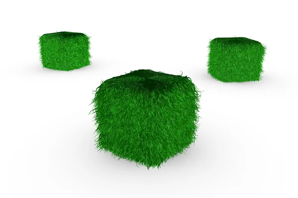Cubes in grass — Stock Photo, Image