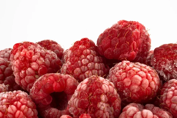 Frozen Raspberry Closeup White Background — Stock Photo, Image