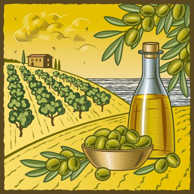 Olive harvest clipart