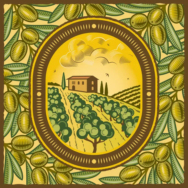 Olive grove — Stok Vektör