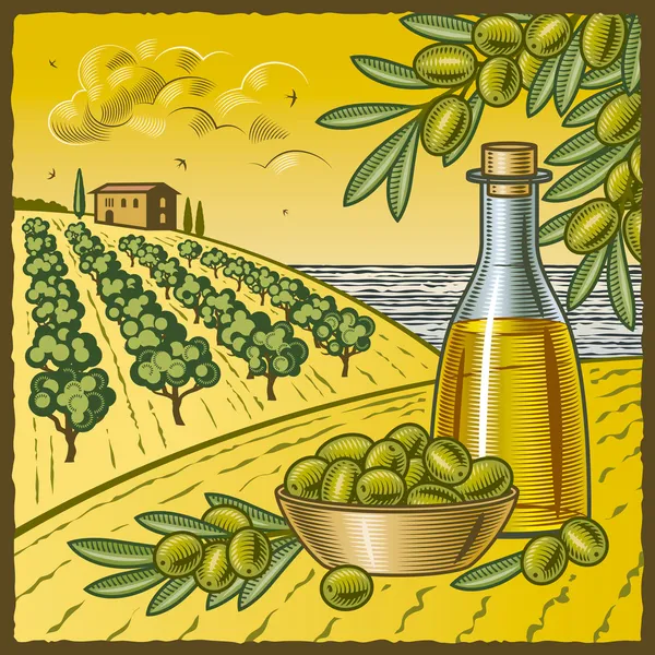 Урожай оливок — стоковый вектор