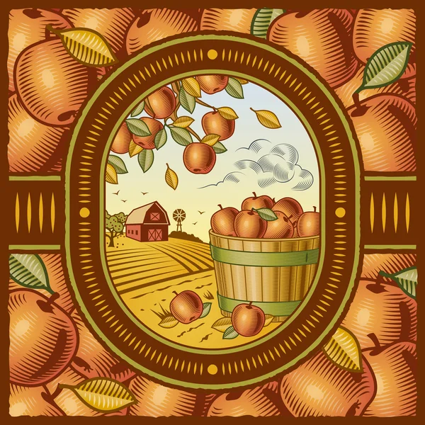 Colheita de maçã —  Vetores de Stock