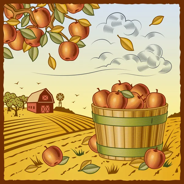 Landskap med äpple skörd — Stock vektor