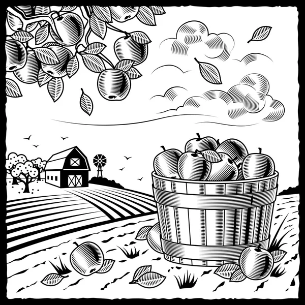 Landschaft mit Apfelernte schwarz-weiß — Stockvektor
