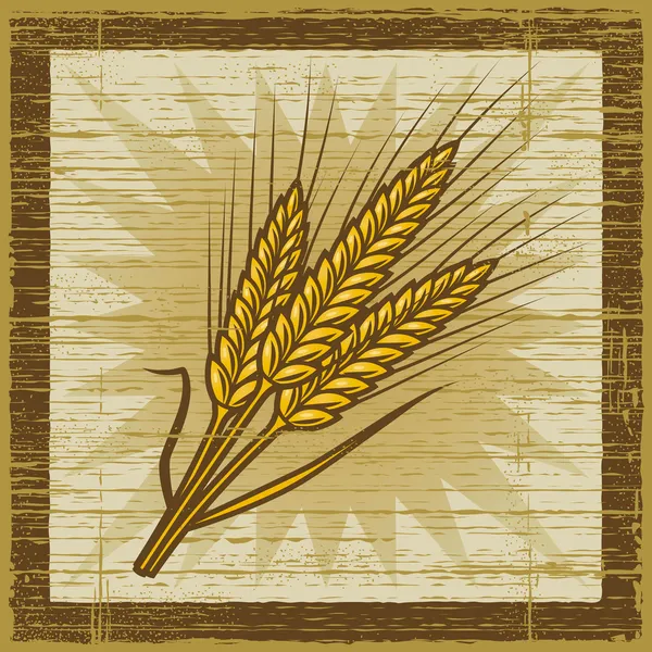 Oreilles de céréales rétro — Image vectorielle