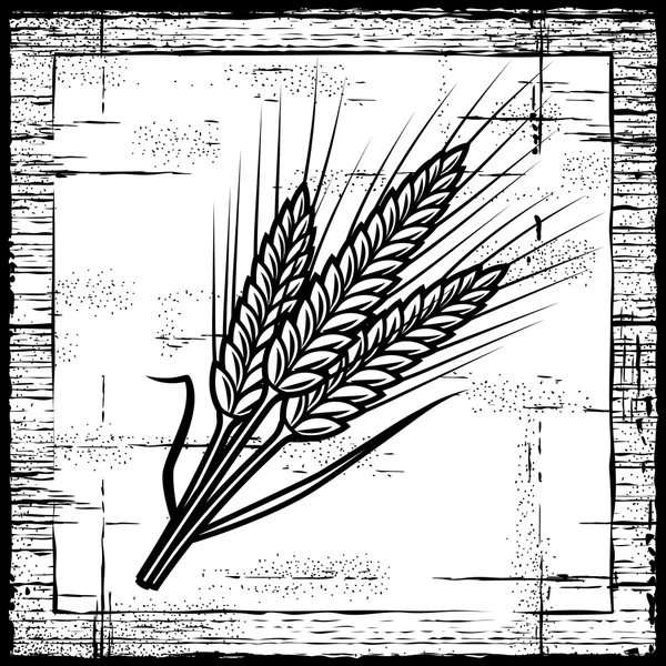 Retro-Getreideohren schwarz und weiß — Stockvektor