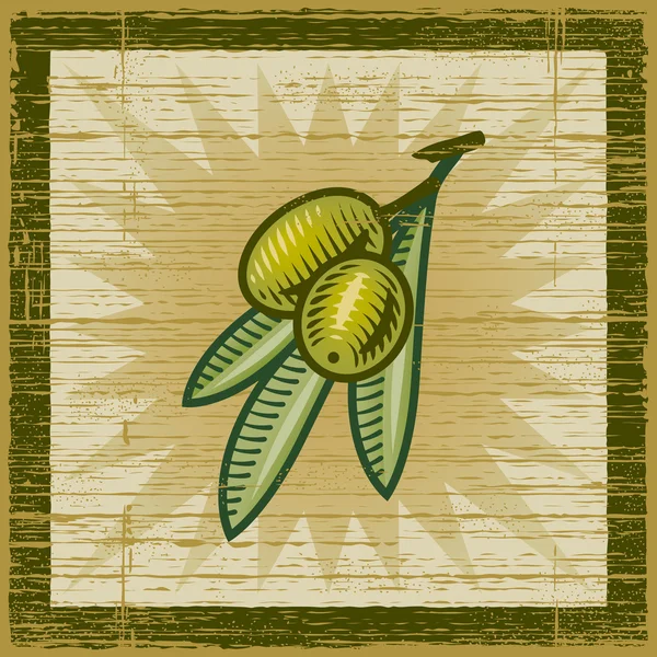 复古的橄榄枝 — 图库矢量图片