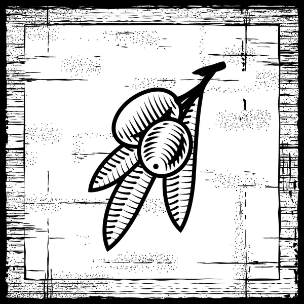 Branche d'olive rétro noir et blanc — Image vectorielle