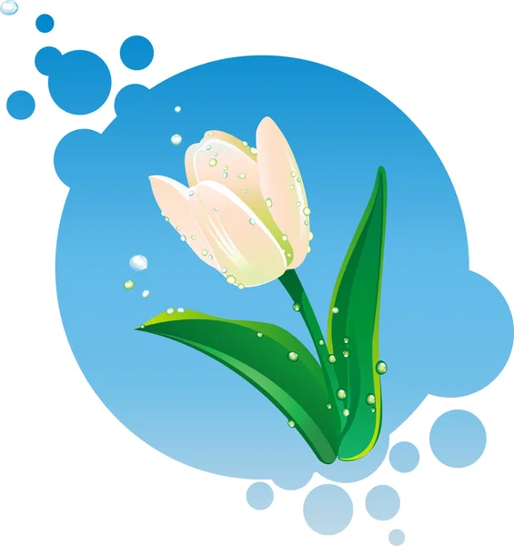 stock vector Illustration of white tulip