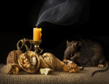 Mouse. Candle. Candlestick.Nuts. Still life. clipart