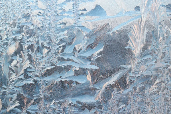 Frosty pattern background — Stock Photo, Image