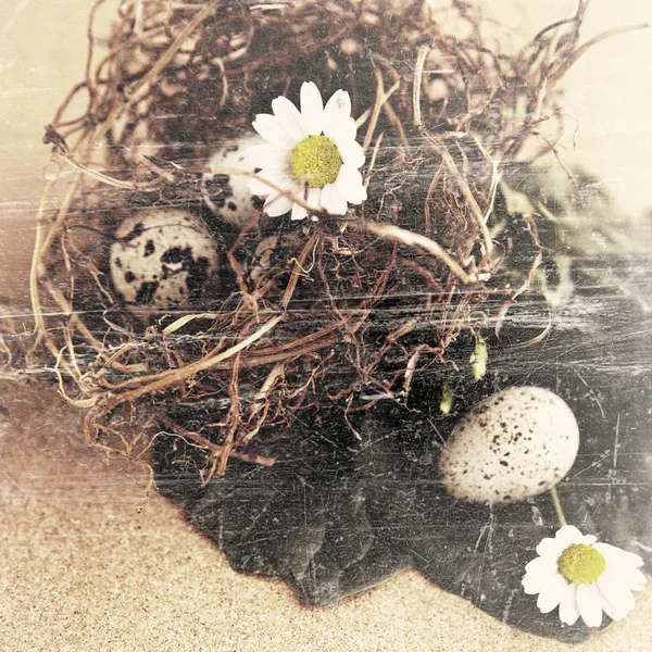 Huevos de ave grunge en el nido . —  Fotos de Stock