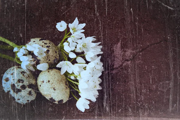 Яйца гранж-птиц — стоковое фото