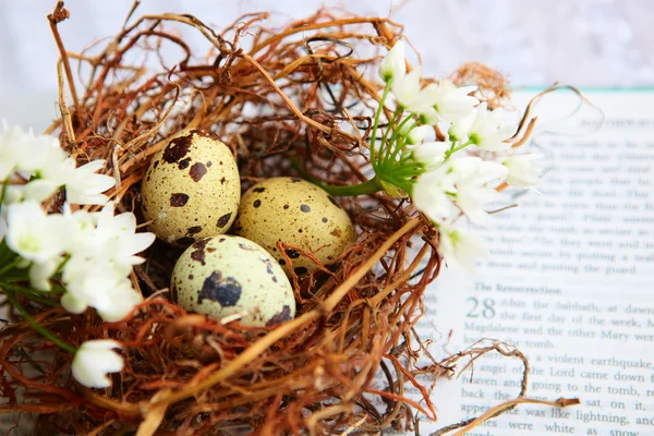 Ptasie jaja w gnieździe na Biblii. — Zdjęcie stockowe