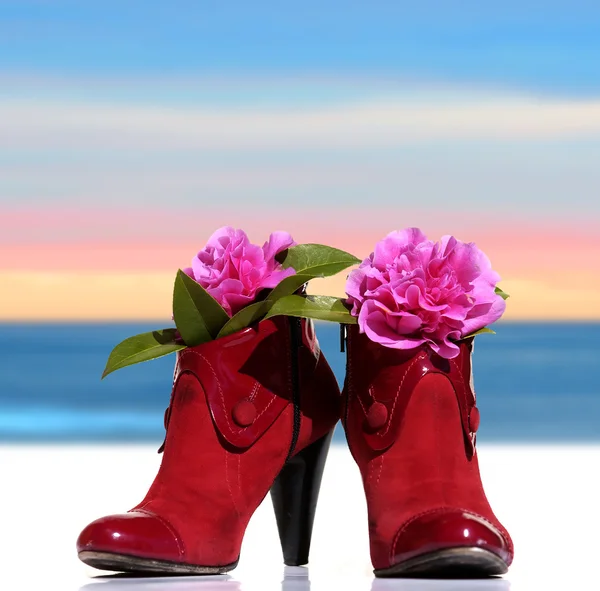 붉은 여자 신발 오순절 꽃 스톡 사진