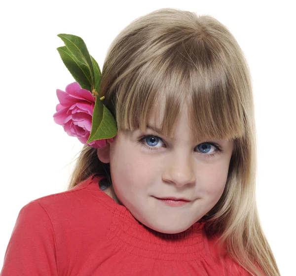 Child with camelia flowers — Stock Photo, Image