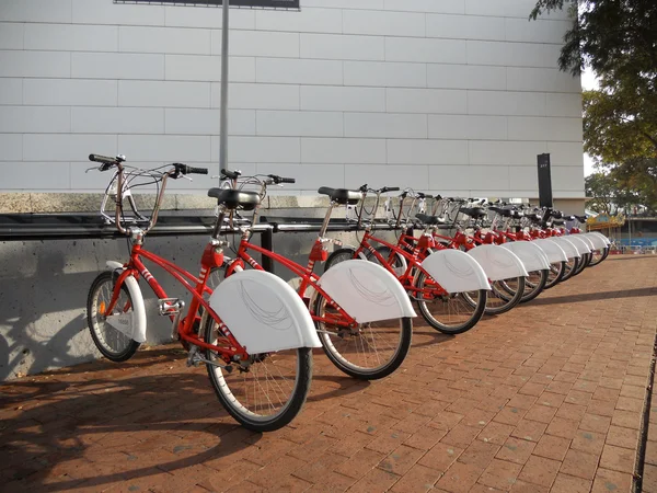 stock image Bicycles rent