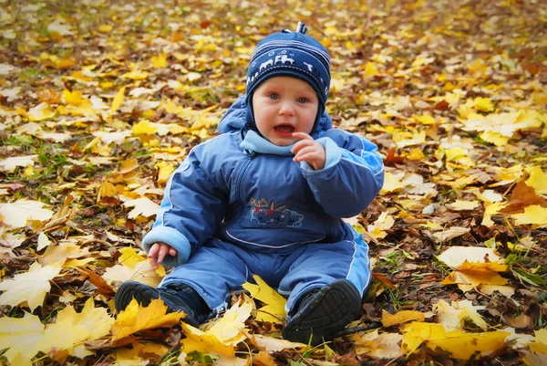 stock image Child among autumn leaves