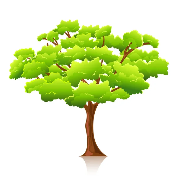 Grande árvore — Vetor de Stock