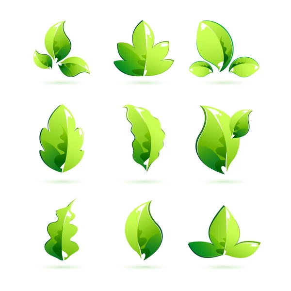 Different Leaves — Stock Vector