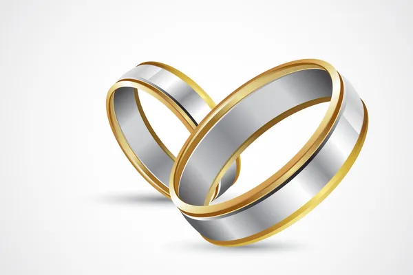 Paire d'anneaux — Image vectorielle