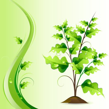 Growing Tree clipart