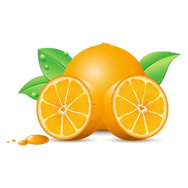 Свіжовичавлений апельсиновий — стоковий вектор