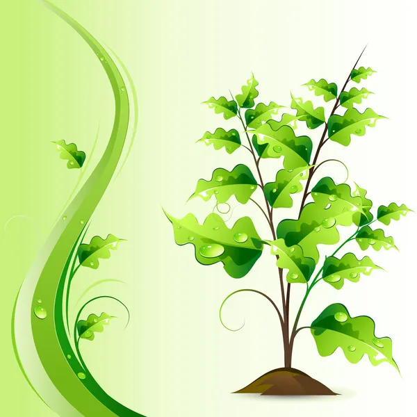Growing Tree — Stock Vector