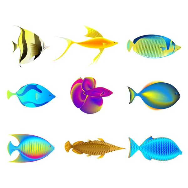Pești colorați — Vector de stoc