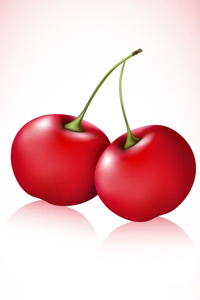 Sweet Cherry — Stock Vector