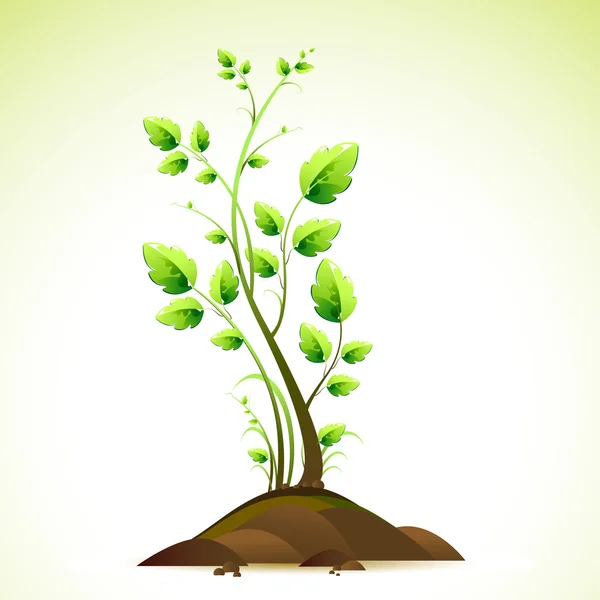 Árbol en crecimiento — Vector de stock
