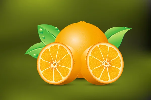 신선한 오렌지 — 스톡 벡터