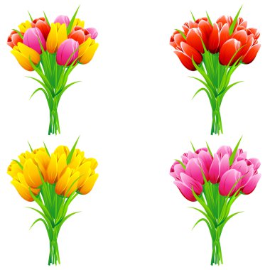 Bouquet of Tulip clipart