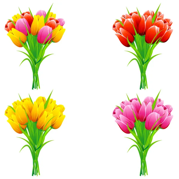 Bukiet tulipanów — Wektor stockowy