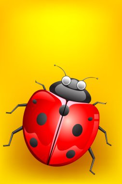 Lady Bug clipart