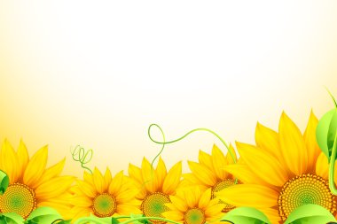 Sunflower Background clipart