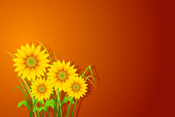 Sunflower Background — Stock Vector