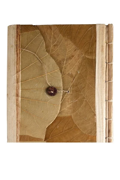 Leaf täckt notebook — Stockfoto