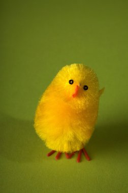 yeşil zemin üzerine yalnız Paskalya kuş