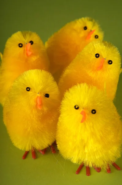 Gruppe von Ostervögeln — Stockfoto
