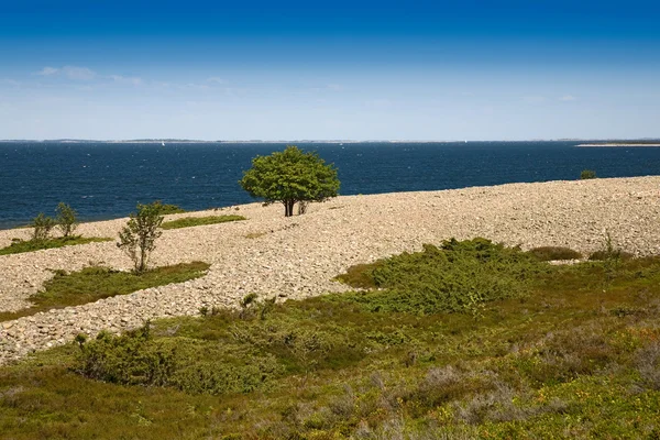 Finnische Küste Stockbild