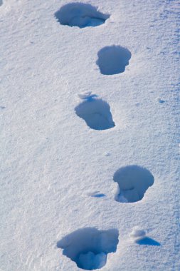 Footprints in the snow clipart