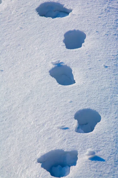 Footprints in the snow — Stock Photo, Image