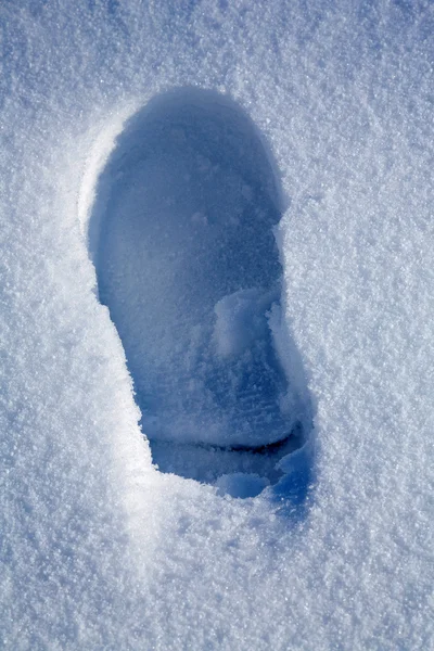 Tracks on snow — Stock Photo, Image