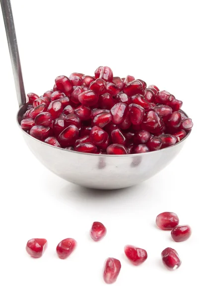 stock image Seeds with pomegranate